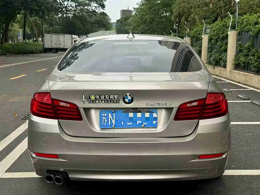 BMW 5 Series 2014 520Li Elegance фото 5