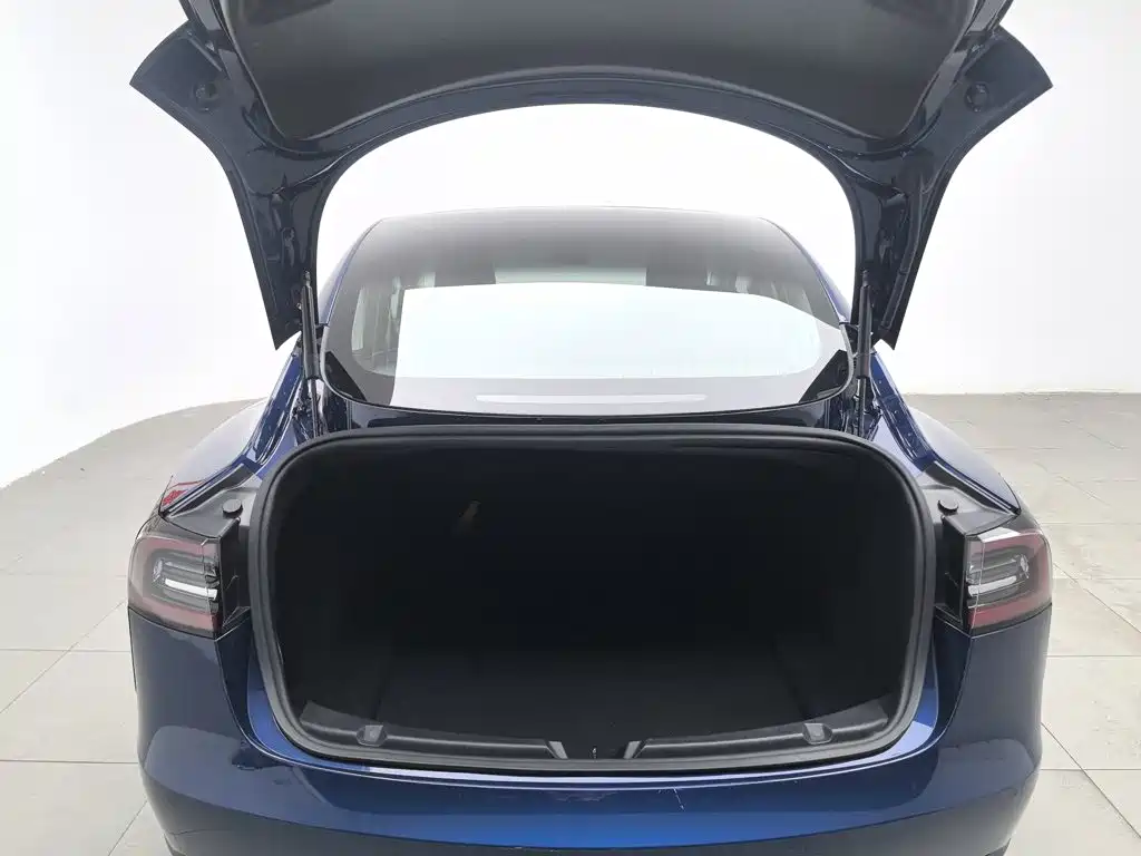 Tesla Model 3 (Import) 2019 2019 Long Range All-Wheel Drive Edition