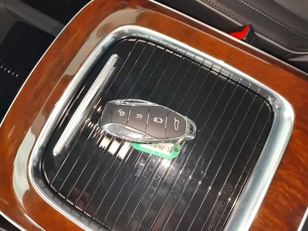 Hongqi HQ9 PHEV 2024 Model 2.0T AWD Luxury Edition фото 9