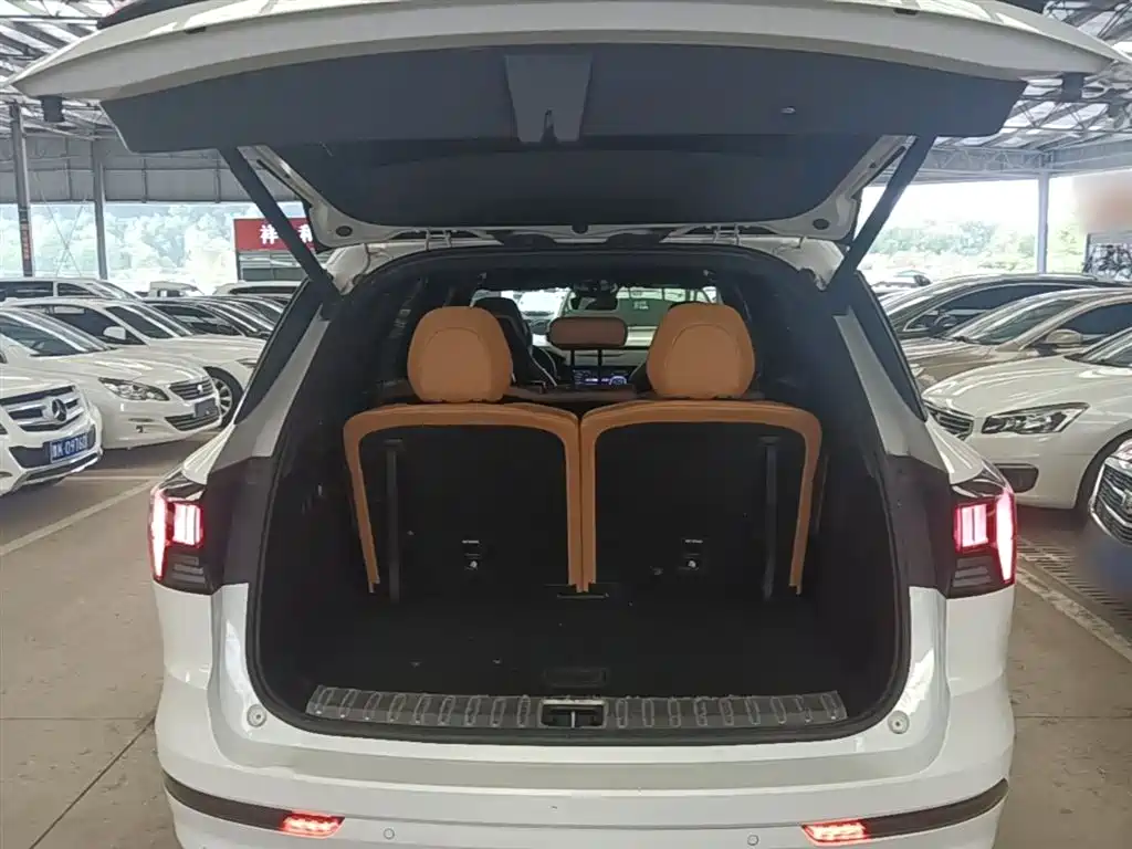 Lynk & Co 09 EM-P 2023 2.0TD EM-P Voyage PM 7-Seater фото 15