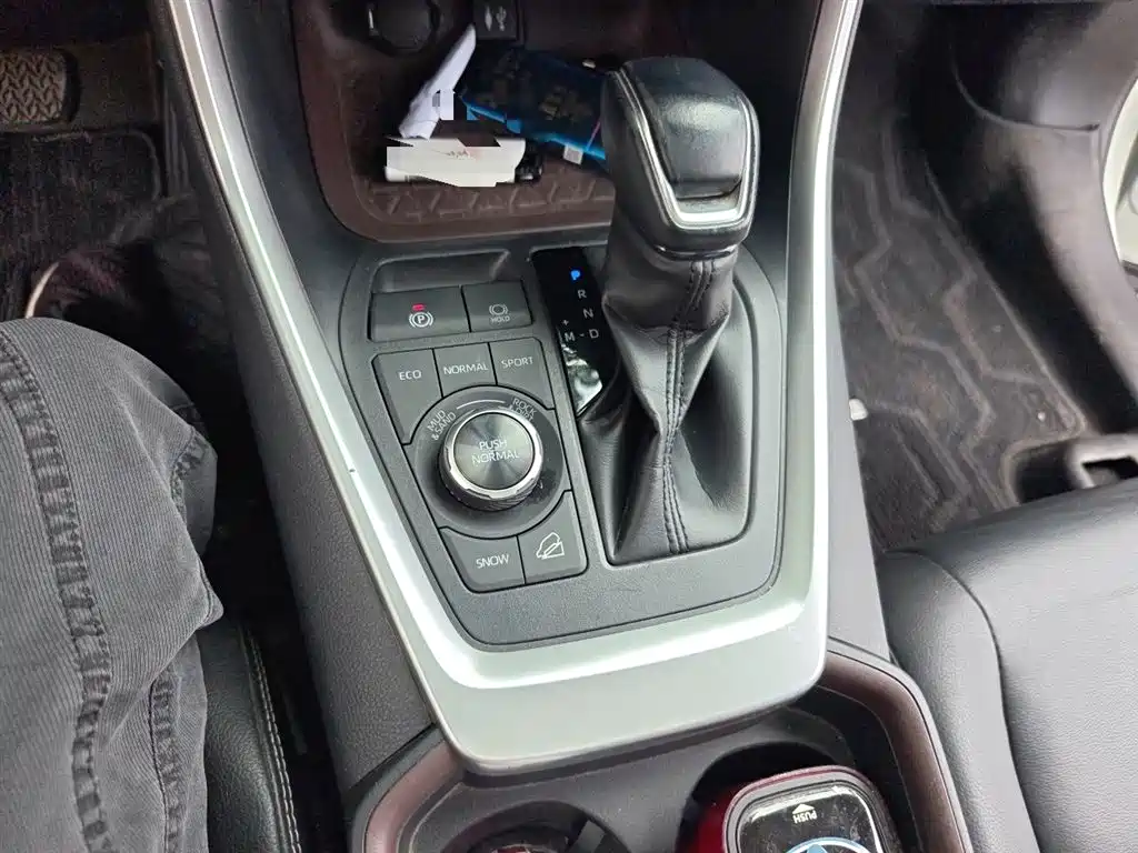 Toyota RAV4 Rongfang 2020 2.0L CVT 4WD Premium Edition фото 7