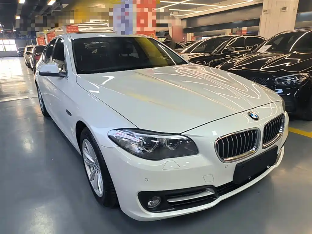 BMW 5 Series (Import) 2015 520i Elegance фото 4