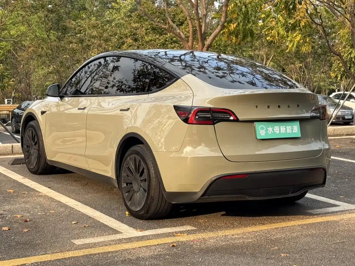 TESLA MODEL Y