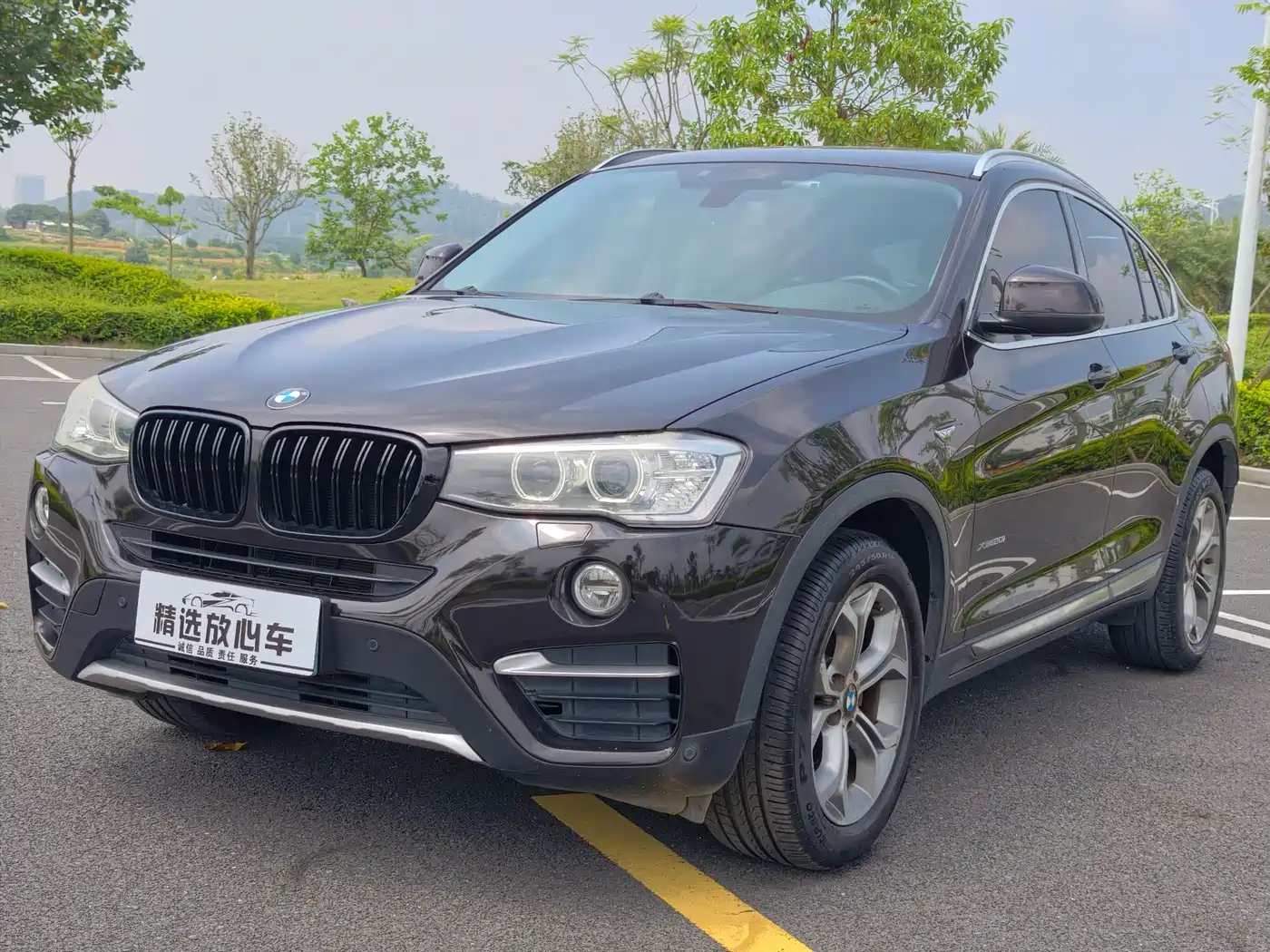 BMW X4 2014 xDrive20i X Design Package