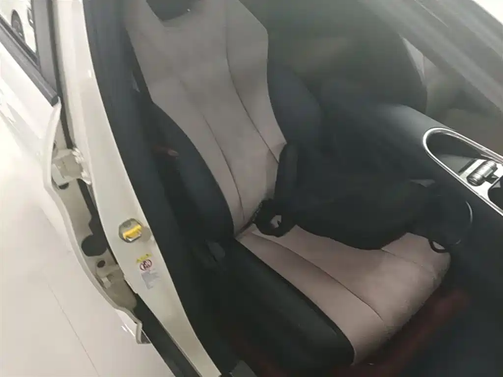 BYD Dolphin 2025 420km Freedom Edition фото 25