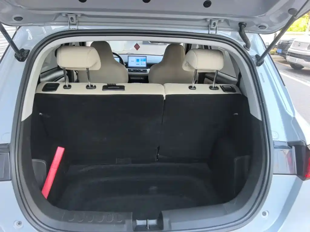 Wuling Motors Wuling Binguo PLUS 2025 2024 Model 330km 5-Seater