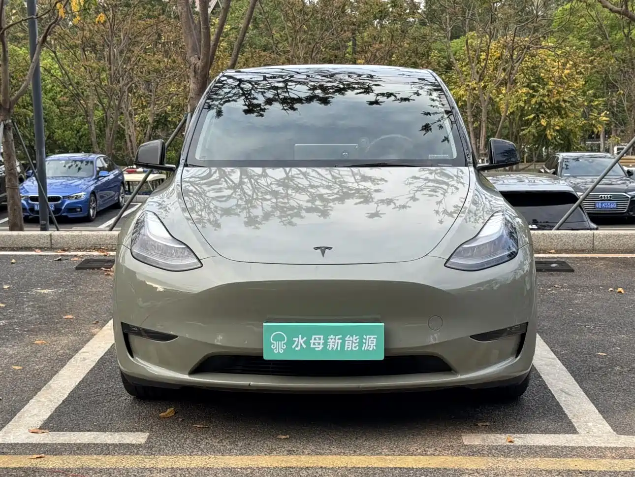 TESLA MODEL Y