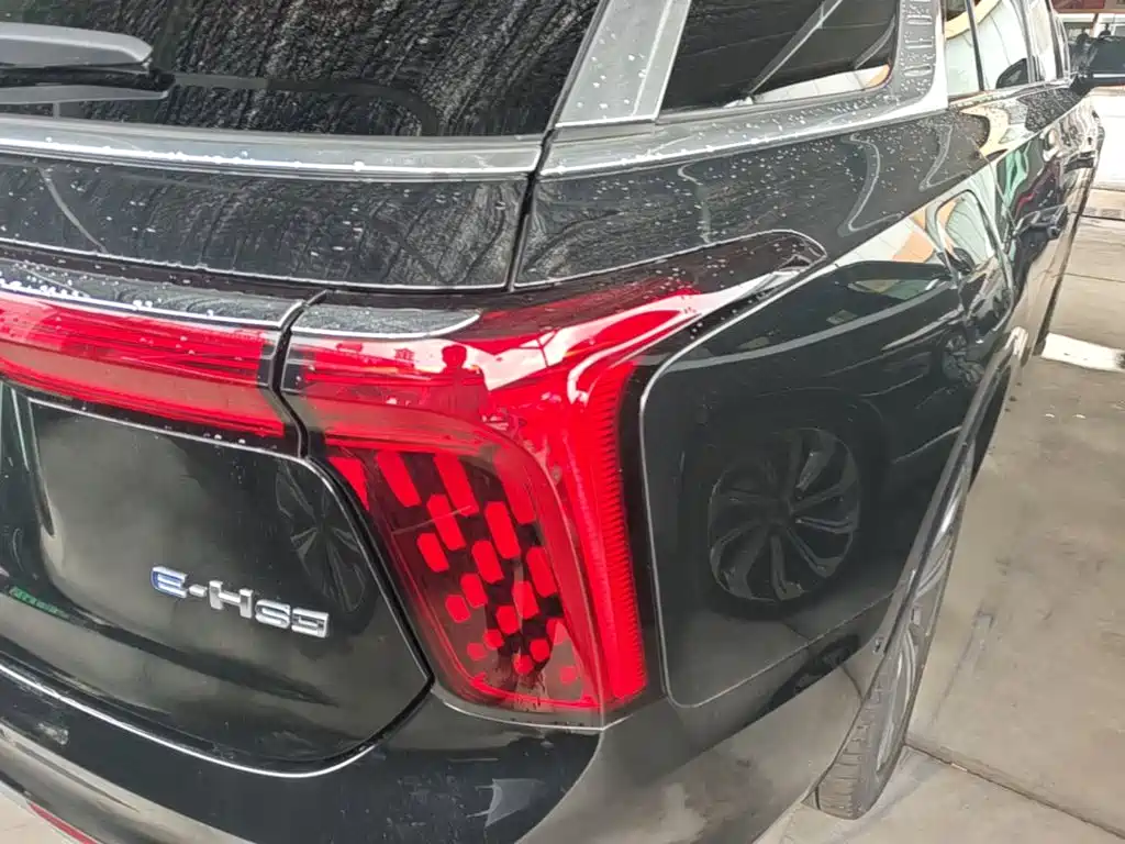 Photo 8 - Hongqi E-HS9