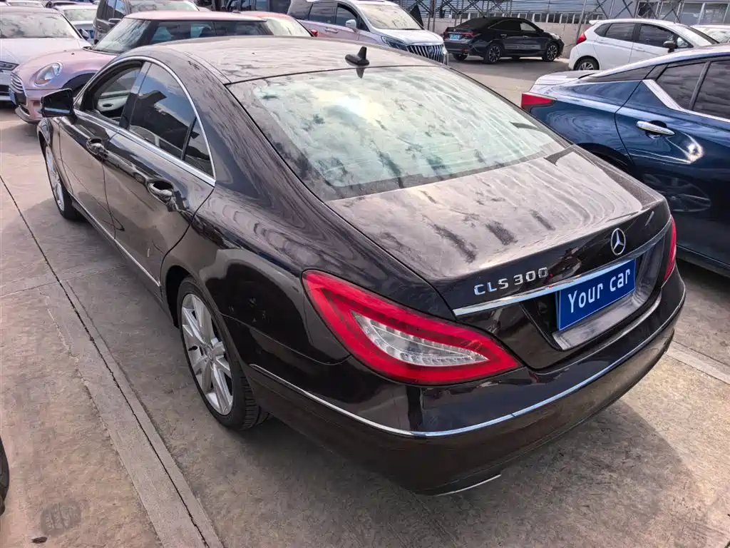 Mercedes-Benz CLS 2012 CLS 300 CGI фото 4