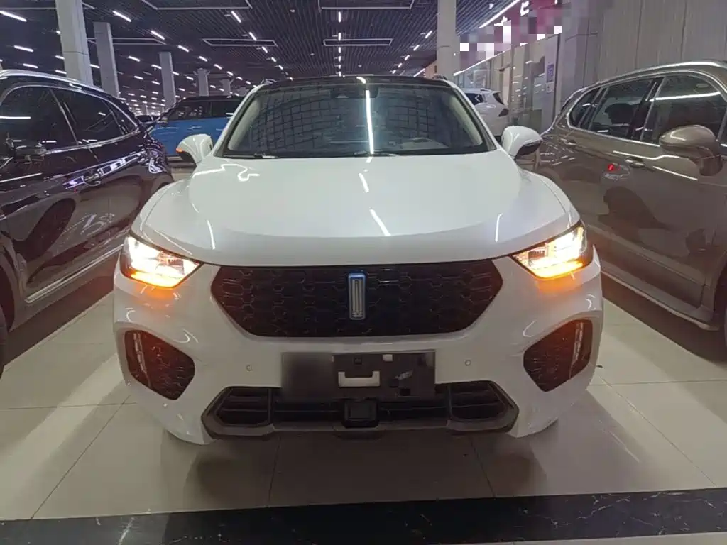 WEY VV5 2017 2017 2.0T Flagship Model