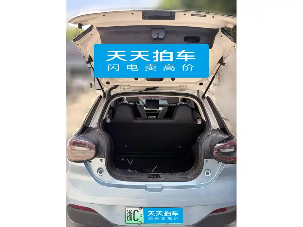 Dongfeng Yipai Nano 01 2024 2024 430 Max Smart+