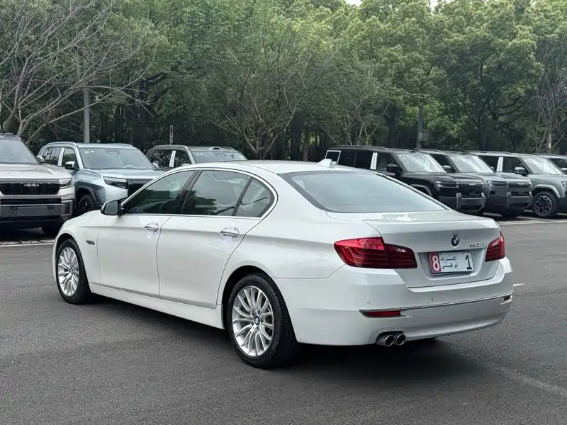 BMW 5 Series 2014 525Li Luxury Design Package фото 10