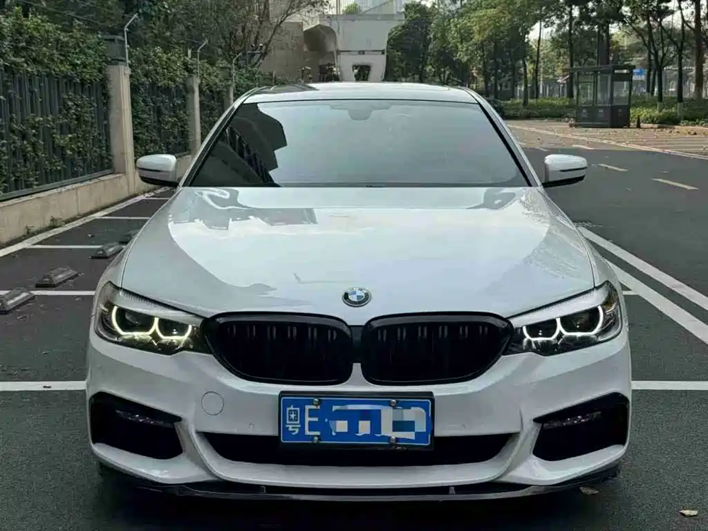 BMW 5 Series 2018 530Li Leading M Sport Package фото 3