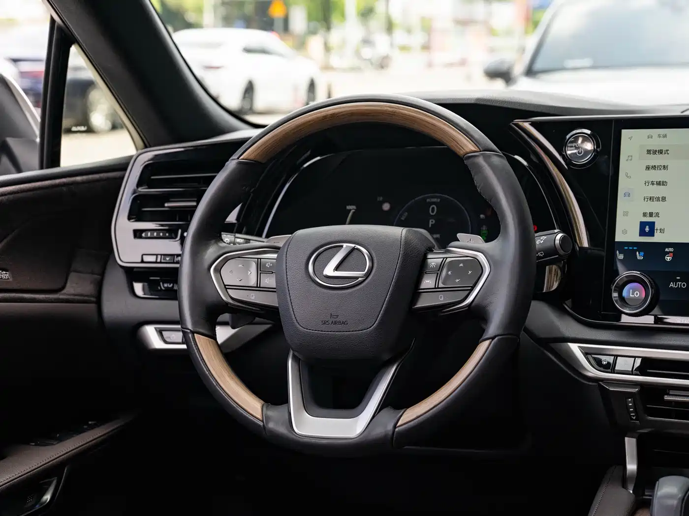 Lexus RX New Energy 2023 450h+ 4WD Enjoyment фото 15