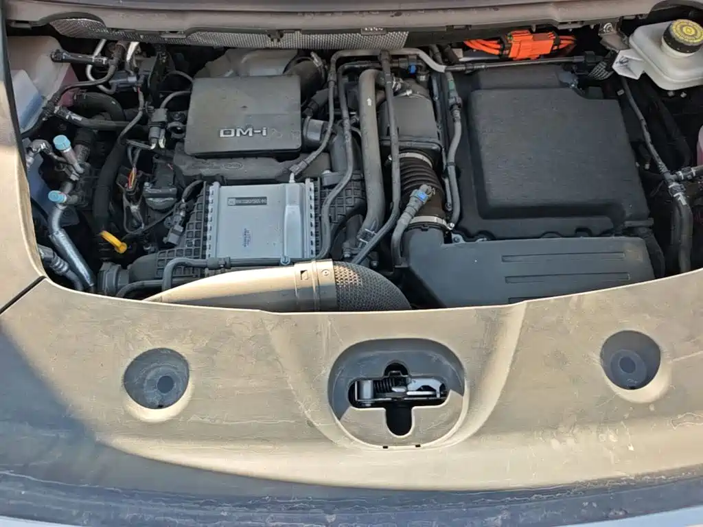 BYD M9 2025 2025 Model 1060 Pilot Edition