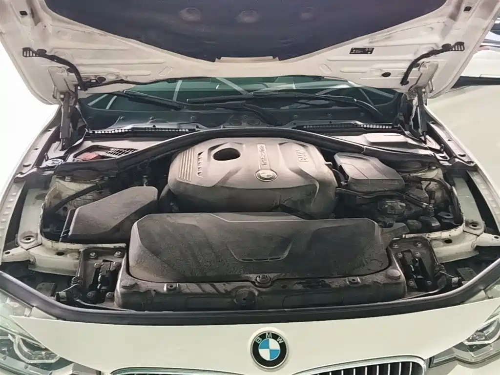 BMW 3 Series 2019 320Li Fashion Type фото 20