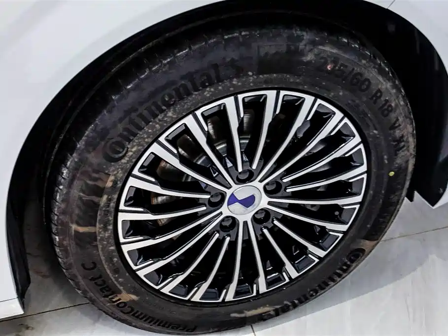 Denza D9 2024 DM-i 980 AWD Premium фото 21