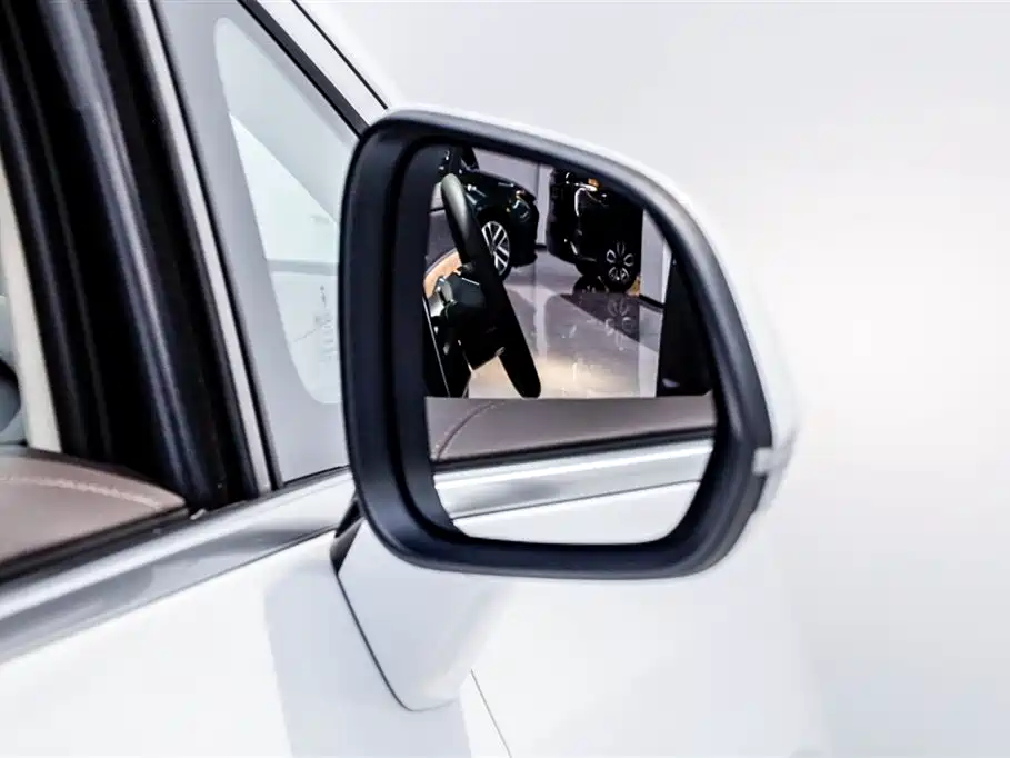 Denza D9 2024 DM-i 980 AWD Premium фото 15