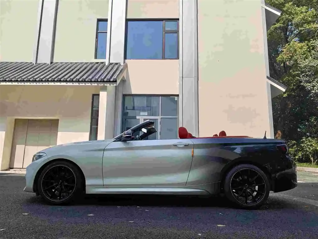BMW 2 Series (Import) 2015 218i Convertible Coupe фото 3