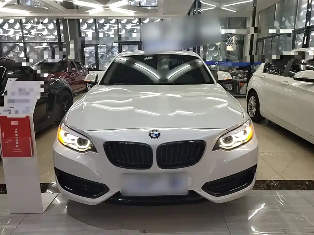 BMW 2 Series (Import) 2019 225i Sport Design Package фото 3