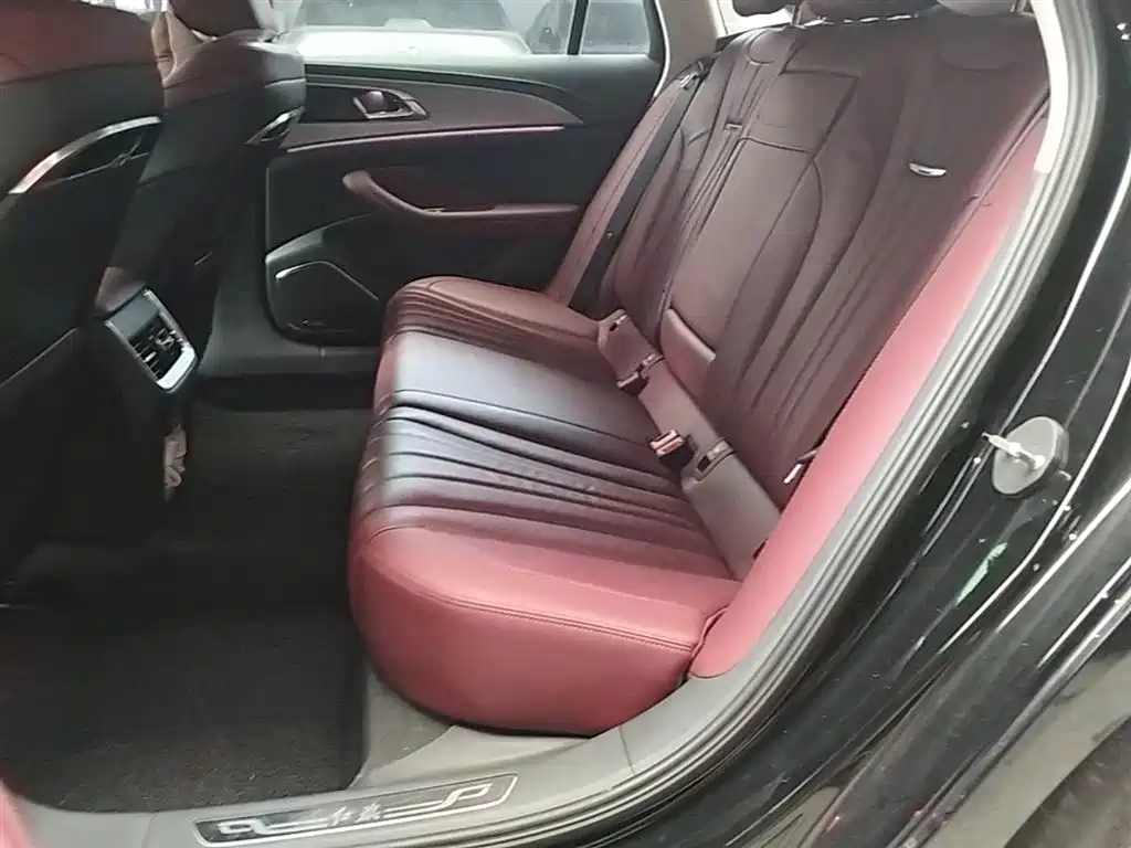 Hongqi H5 2023 2.0T Auto Smart Connect Flag Comfort фото 13