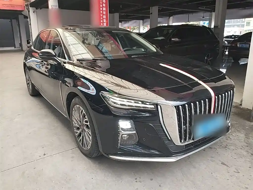 Hongqi H5 2023 2.0T Auto Smart Connect Flag Comfort фото 25