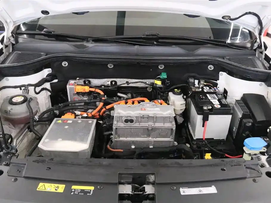 VOLKSWAGEN TUYUE NEW ENERGY