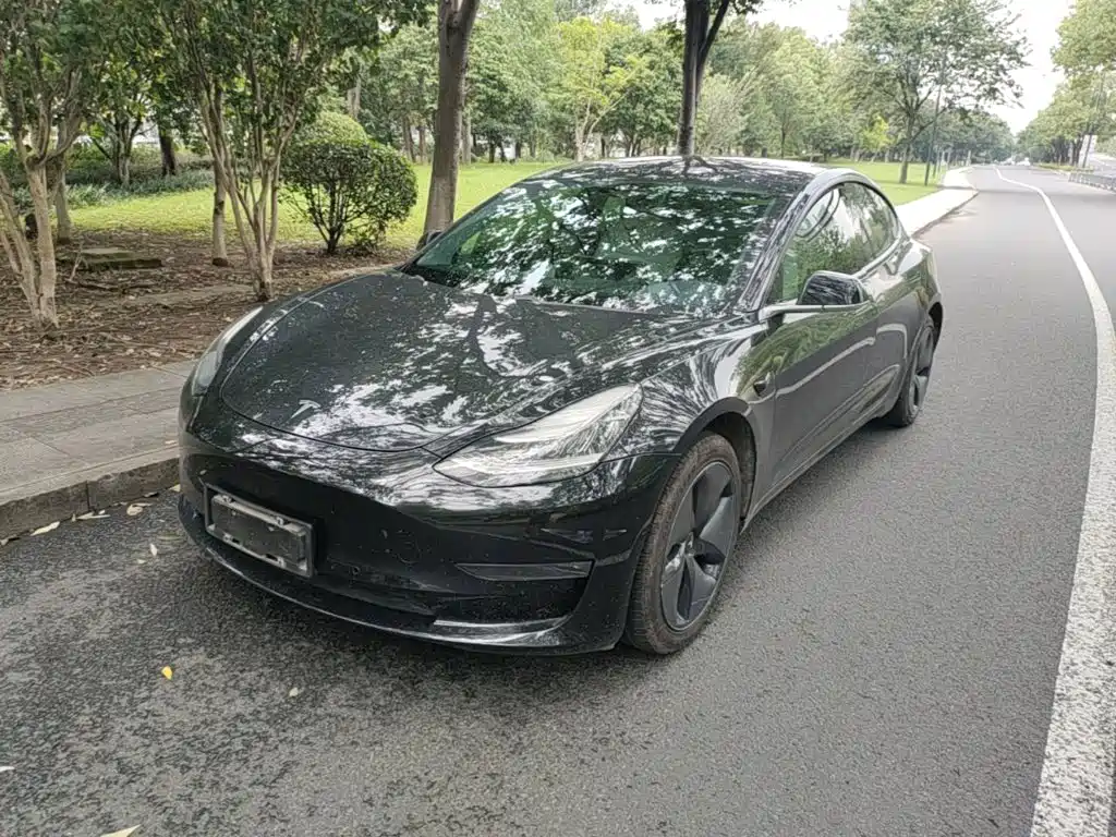 Tesla Model 3 (Import) 2019 2019 Long Range RWD Version