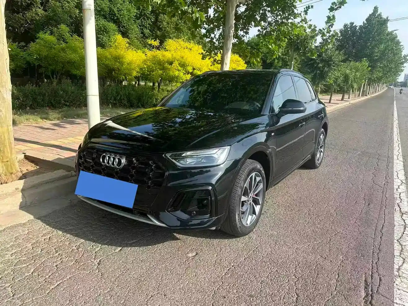 Audi Q5L 2024 Model 40 TFSI Luxury Dynamic фото 2