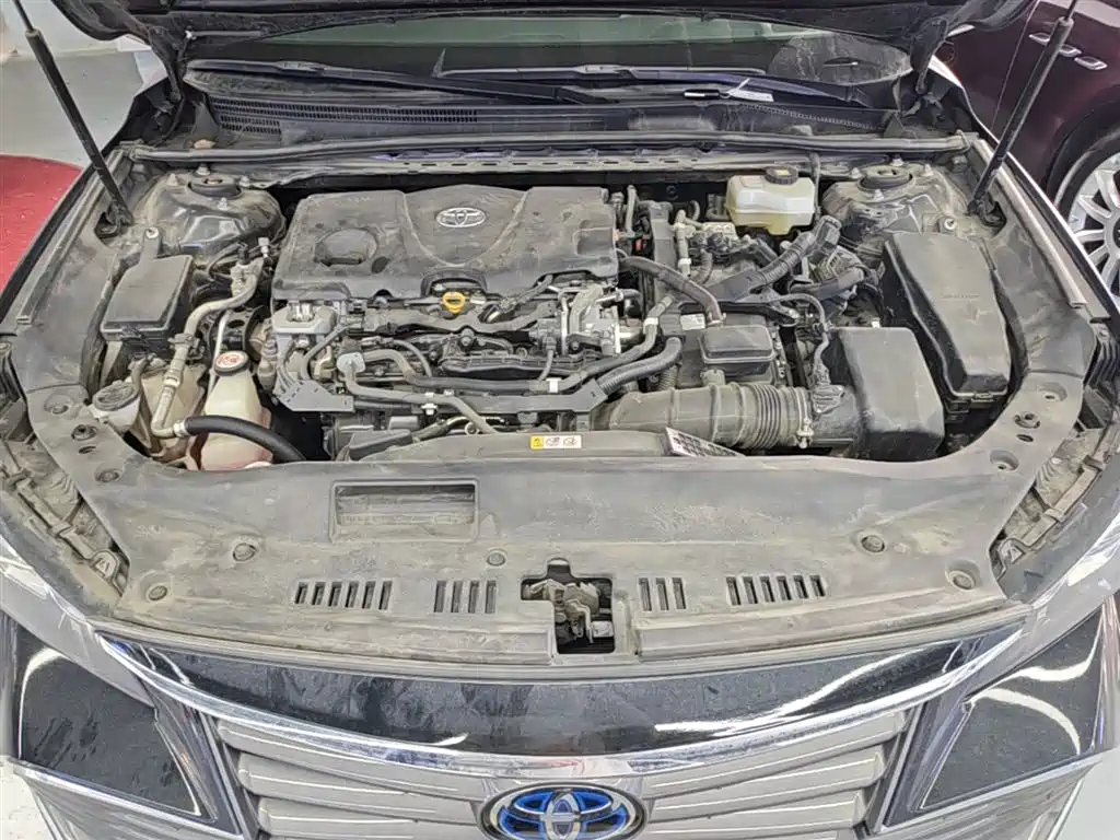 Toyota Avalon 2019 Hybrid 2.5L Luxury Edition China VI фото 20