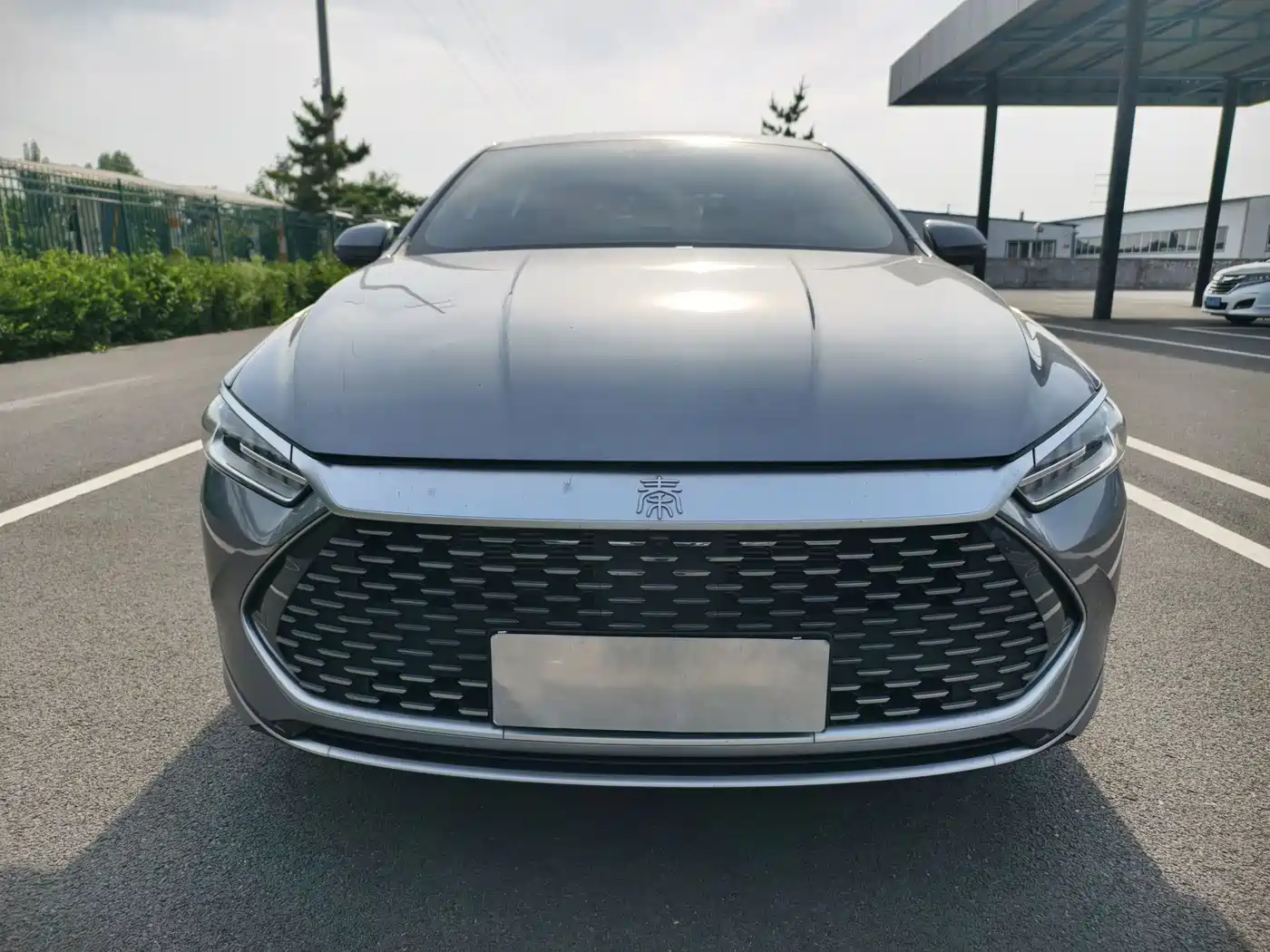 BYD Qin PLUS 2024 Glory Edition DM-i 120KM Surpass фото 2