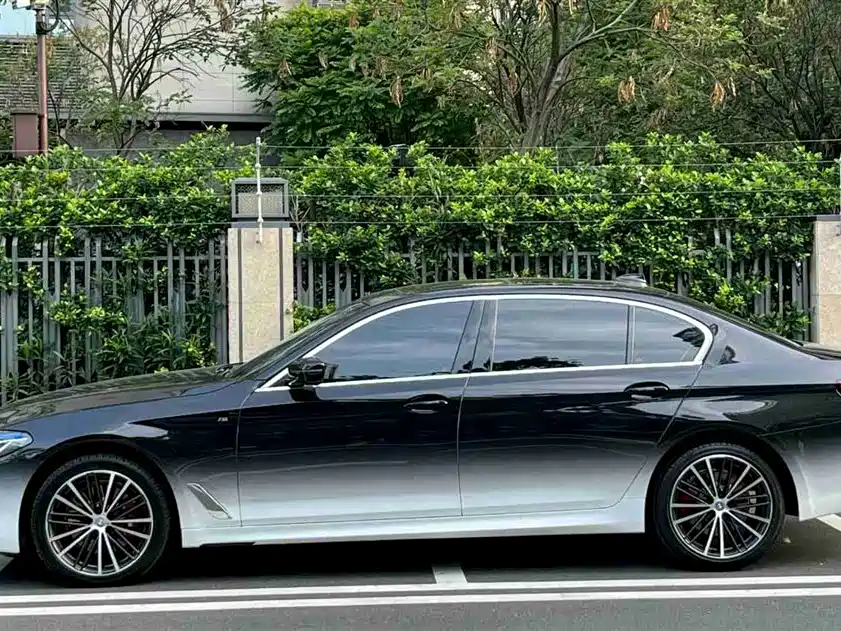 BMW 5 Series 2020 530Li Leading M Sport Package фото 3