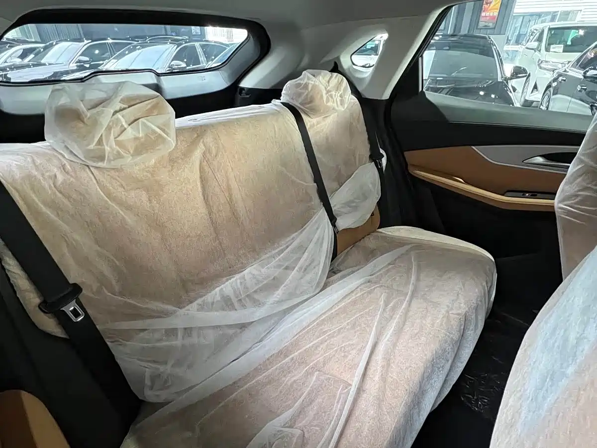 Dongfeng Fengxing Starry Sea T5 2026 2026 Model 530km Premium Edition