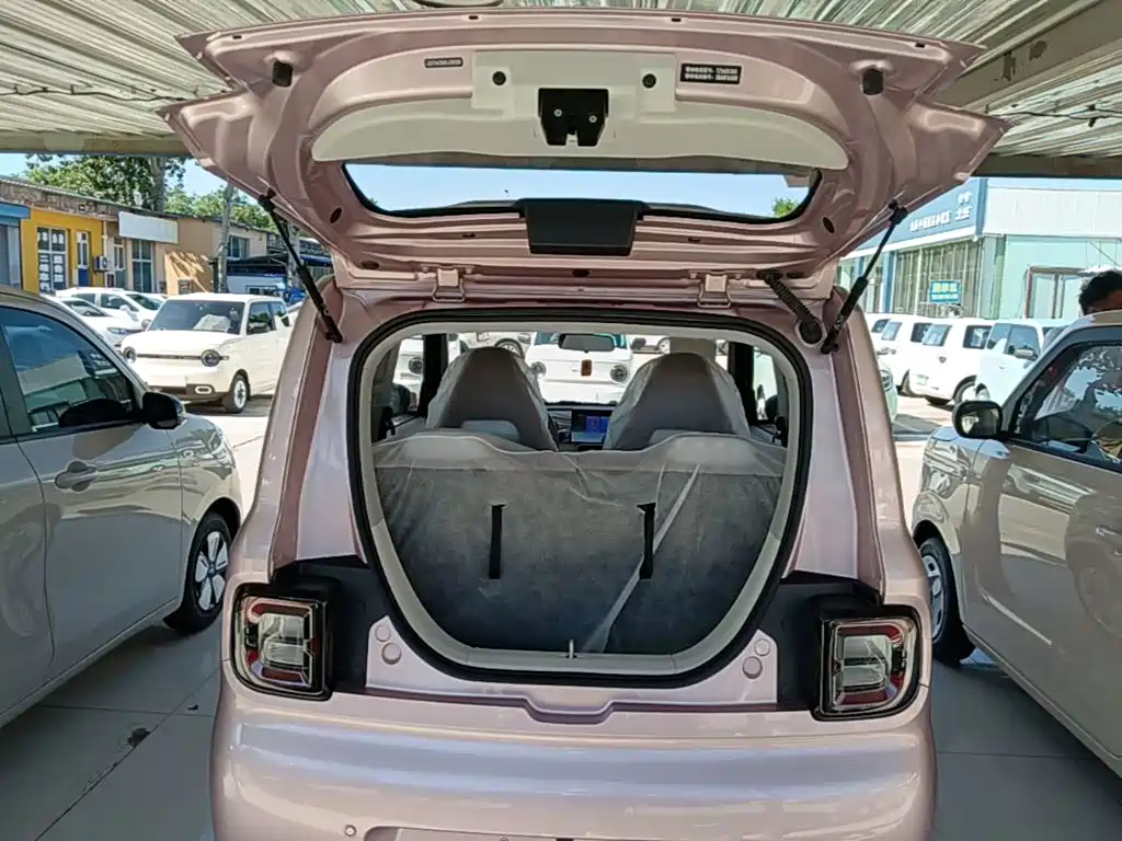 Geely Galaxy Panda 2026 2025 Panda mini 210km Vitality Bear