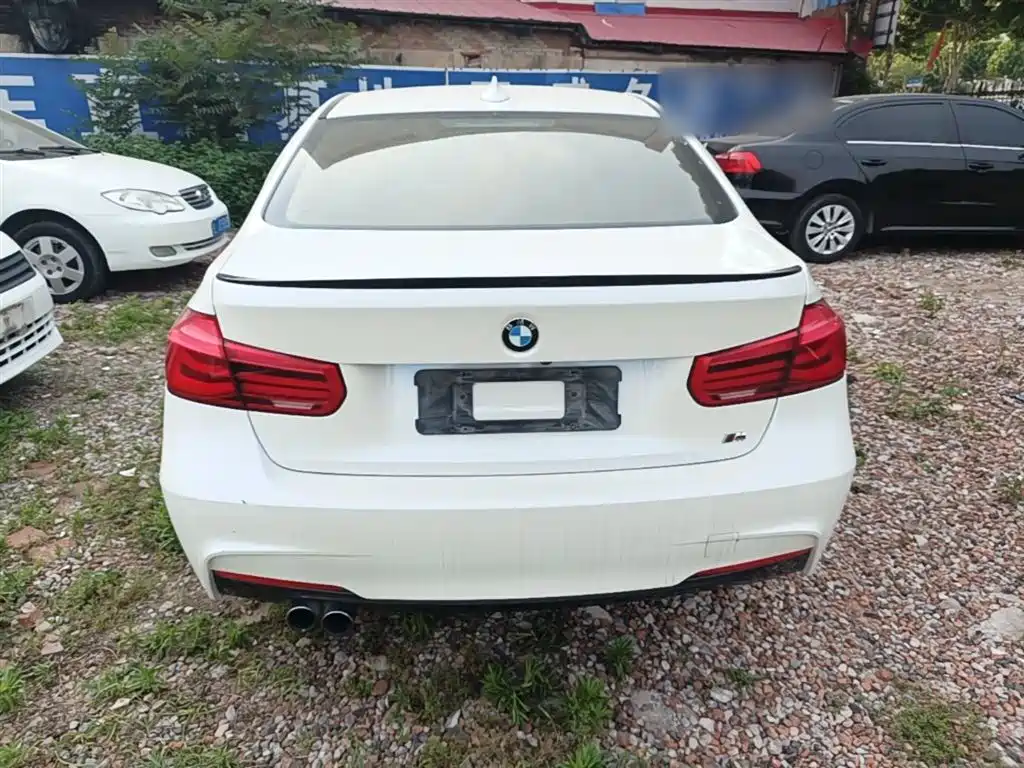 BMW 3 Series 2017 320Li M Sport фото 6