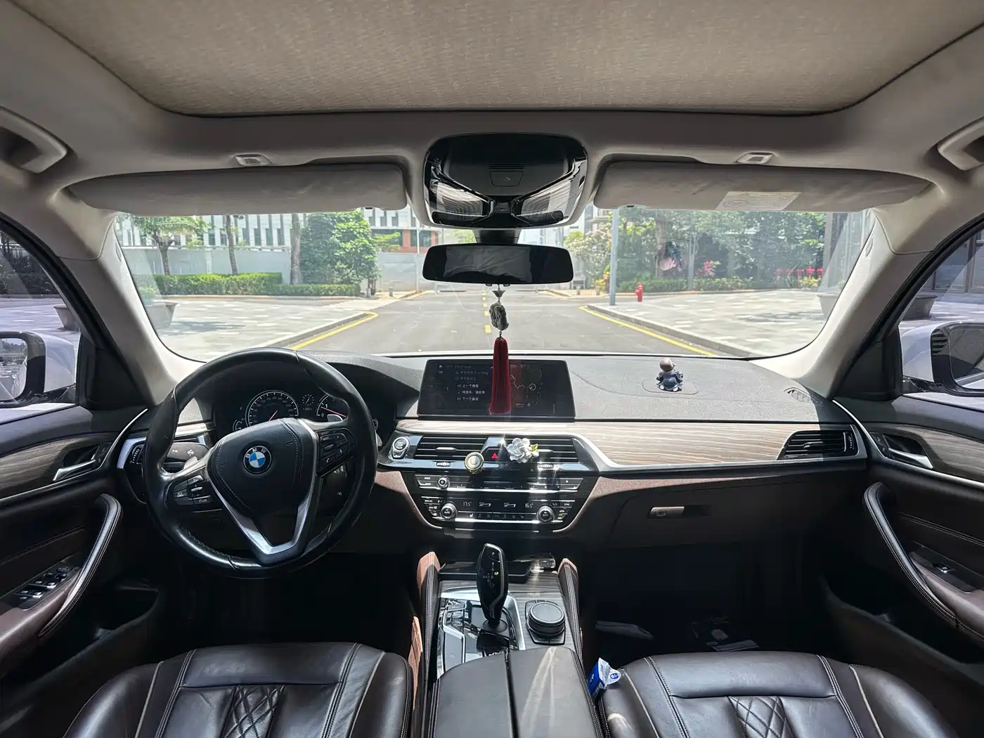 BMW 5 Series 2018 530Li Leading Luxury Package фото 6
