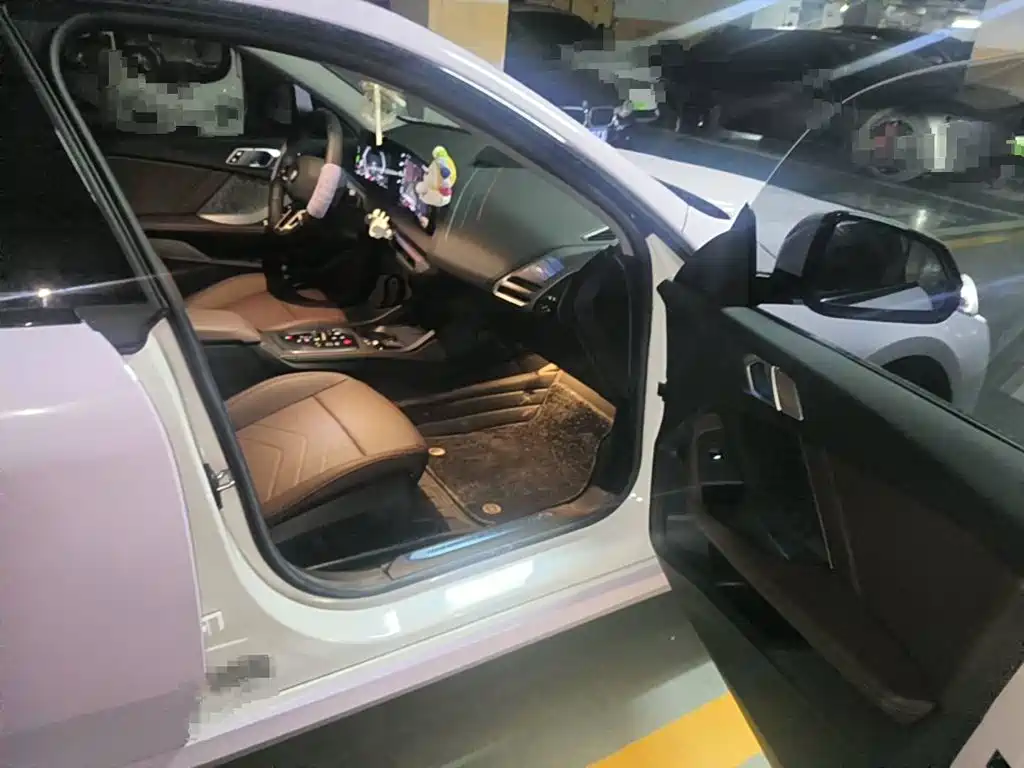 BMW 2 Series 2025 2025 225L M Sport Package