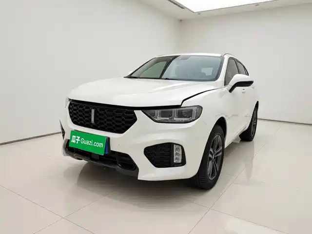 WEY VV5 2019