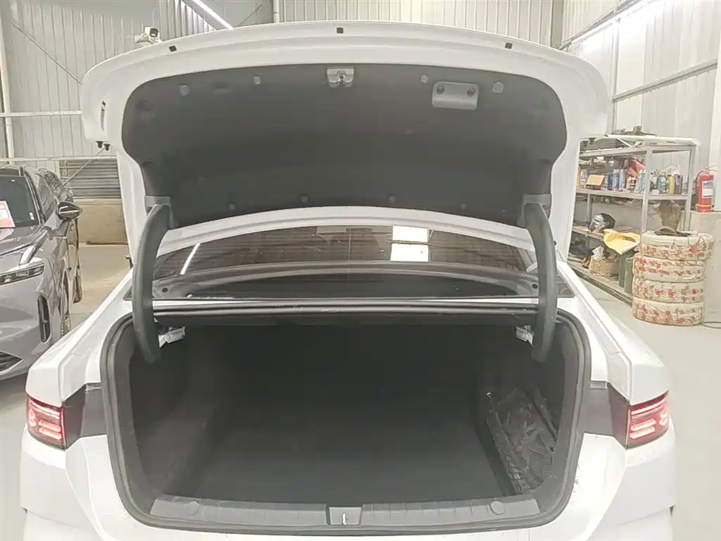 BYD Destroyer 05 2024 Glory Edition DM-i 55KM Luxury фото 19