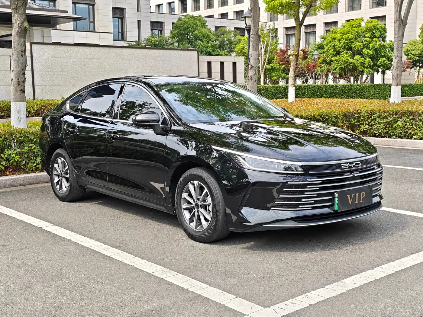 BYD Destroyer 05 2024 Glory Edition DM-i 55KM Luxury фото 3