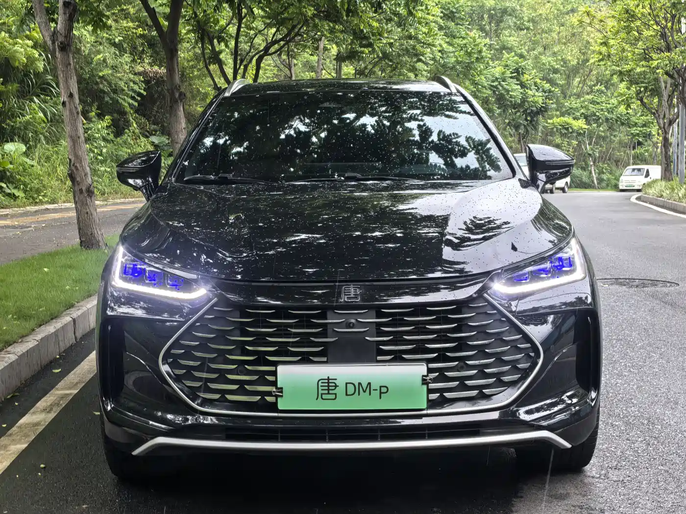 BYD Tang New Energy 2022 DM-p 215KM AWD Executive фото 2