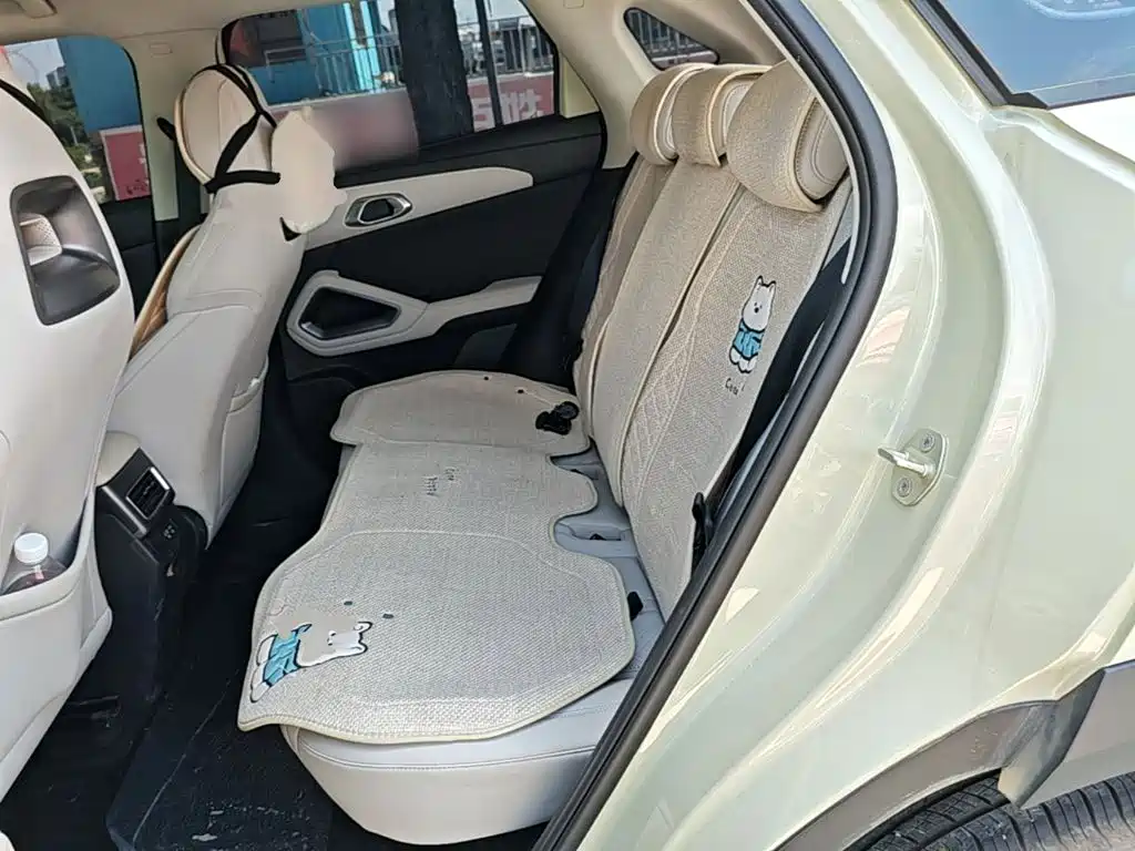 BYD Yuan UP 2026 2025 Model 301KM Navigator