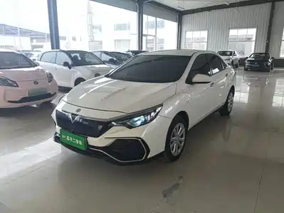 Venucia D60EV