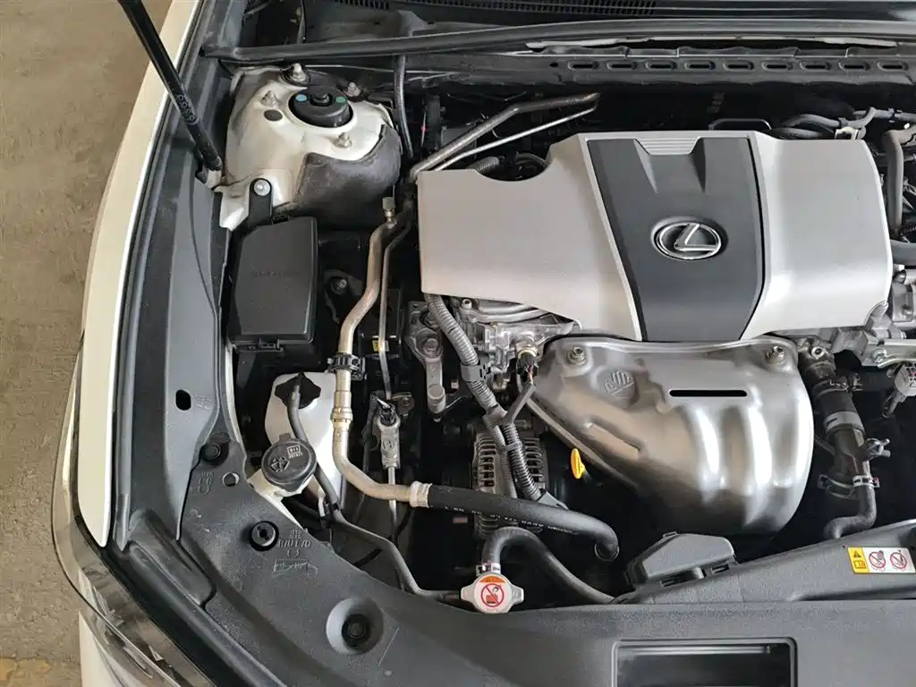 Lexus ES 2018 200 Excellence Edition China V фото 21