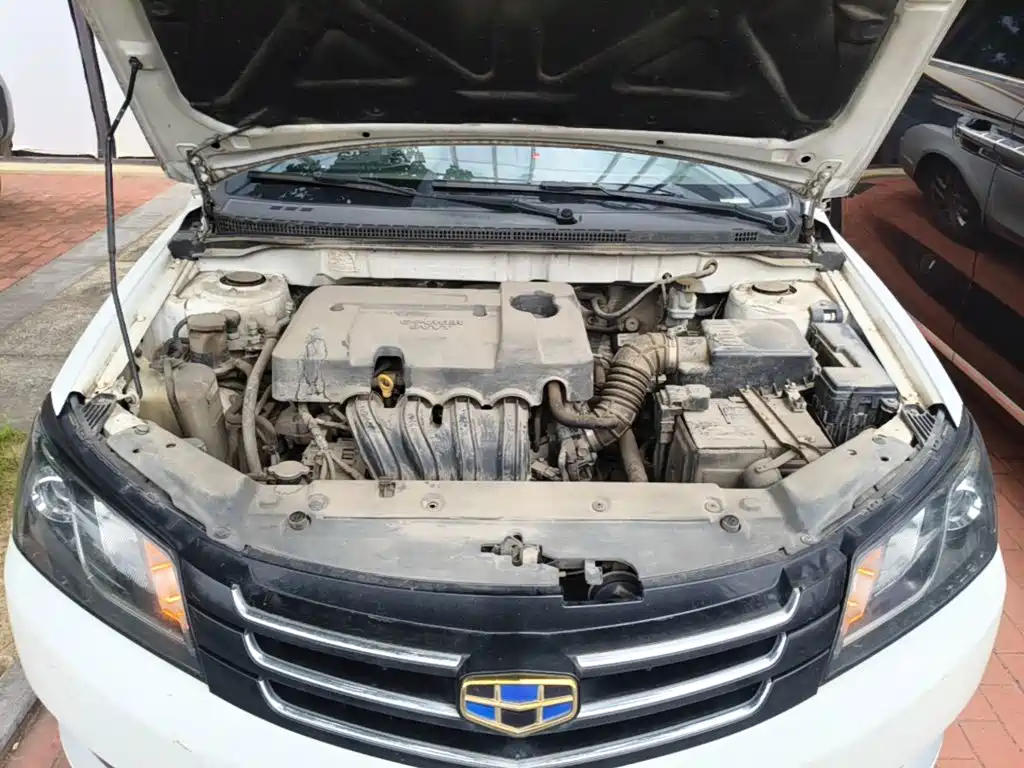صورة 20 - Geely Emgrand