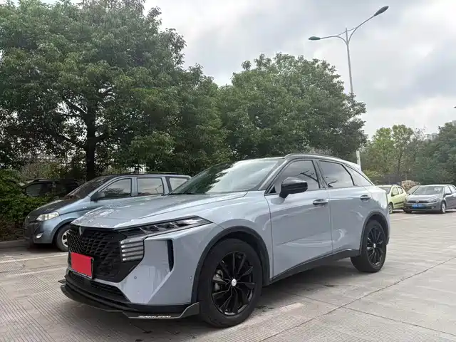  Venucia Venucia Big V 2021 260T King Edition