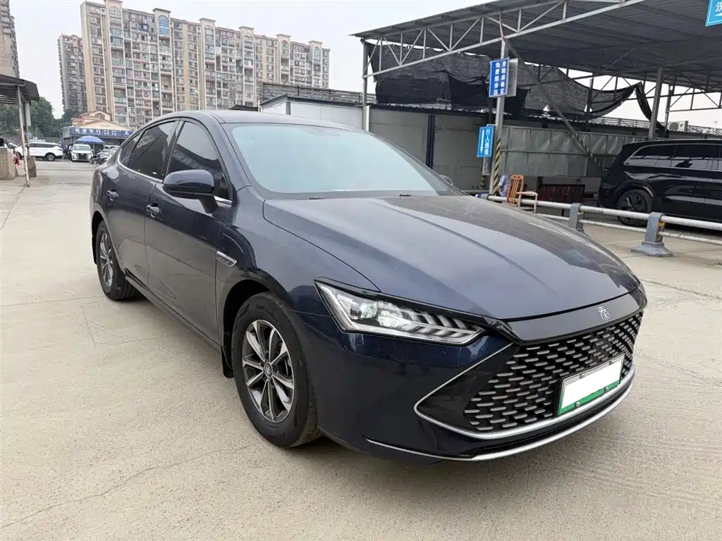 BYD Qin PLUS 2023 Champion Edition DM-i 55KM Leading фото 3