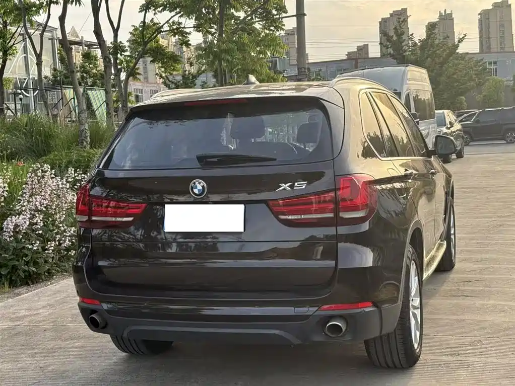 BMW X5 (Import) 2014 xDrive35i Elegance фото 15