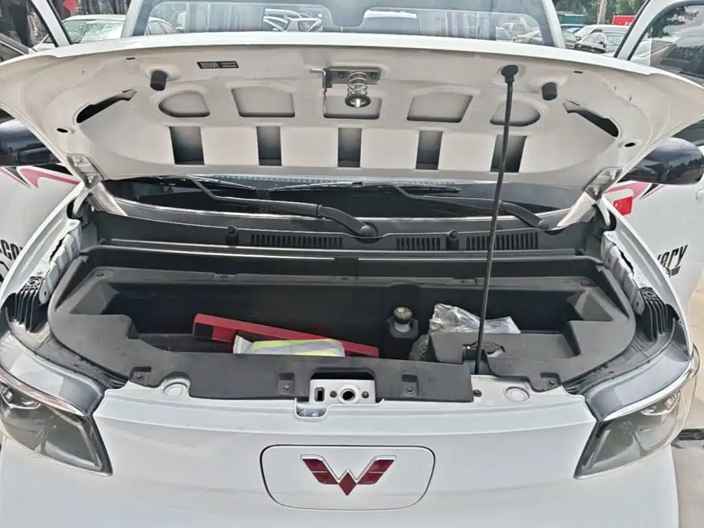 Wuling Motors Wuling Zhiguang NEV 2025 2025 Model 305km Base Version