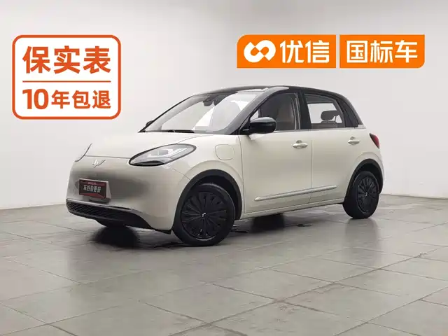 Wuling Motors Wuling Bingo 2023 Model 333km Joy+ Version — фото 1